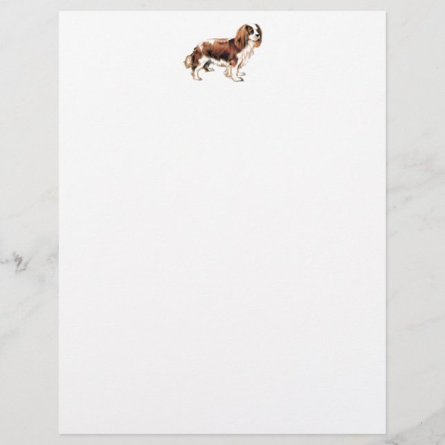 Lámina Cavalier King Charles Spaniel (Anverso)