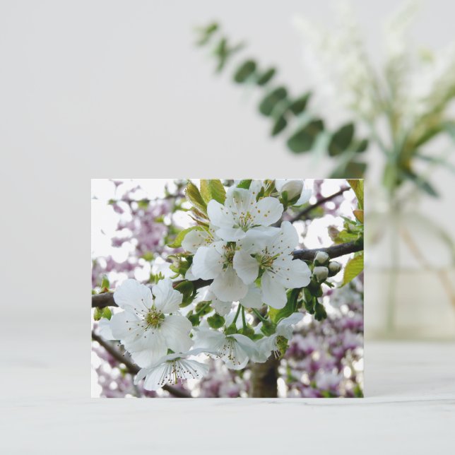 Lámina Cerezo en flor (Anverso de pie)