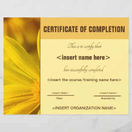 Lámina Certificado de finalización