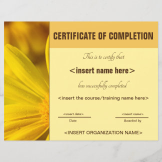 Lámina Certificado de finalización