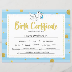 Lámina Certificado de nacimiento de bebé de hito azul