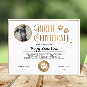 Lámina Certificado de nacimiento de cachorro Insertar pap
