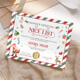 Lámina Certificado oficial de lista de Niza de Santa Navi