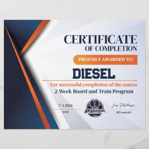 Lámina Certificado OLK9 #10