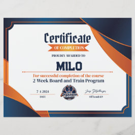 Lámina Certificado OLK9 #11