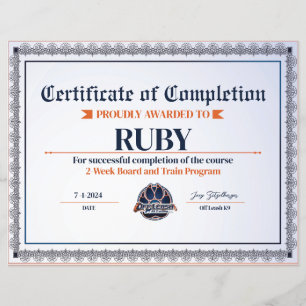 Lámina Certificado OLK9 #12