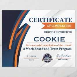 Lámina Certificado OLK9 #3