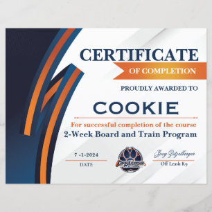 Lámina Certificado OLK9 #3