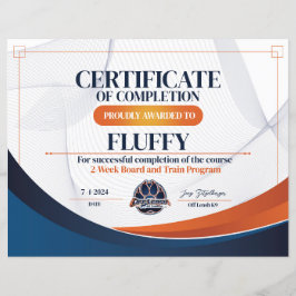 Lámina Certificado OLK9 #8