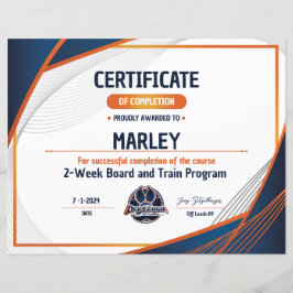 Lámina Certificado OLK9 #9