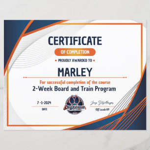 Lámina Certificado OLK9 #9