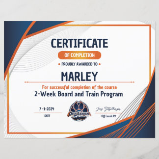 Lámina Certificado OLK9 #9