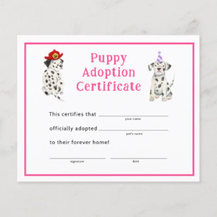 Lámina Chica dálmata, Fiesta, certificado de adopción