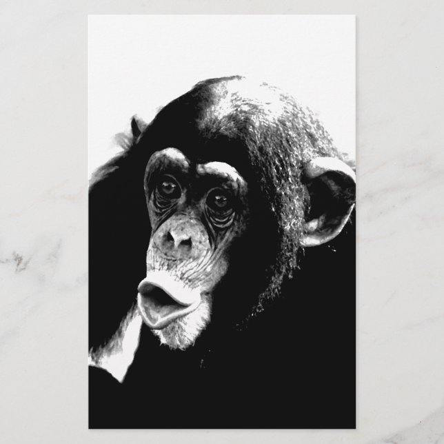 Lámina Chimpancé blanco negro (Anverso)