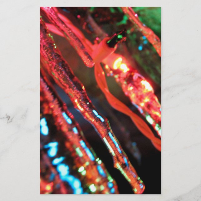 Lámina Ciclos (Anverso)