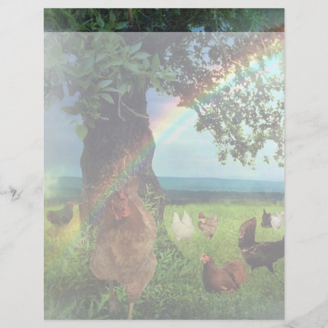 Lámina Cielo de Pollo (Anverso)