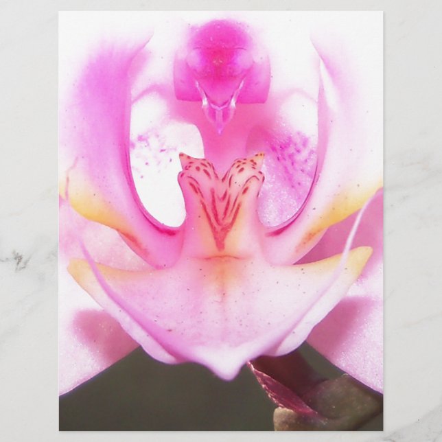 Lámina cierre extremo del interior de una flor de orquíde (Anverso)