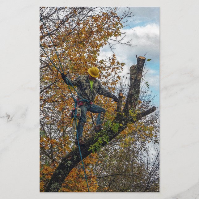 Lámina Cirujano de árbol (Anverso)