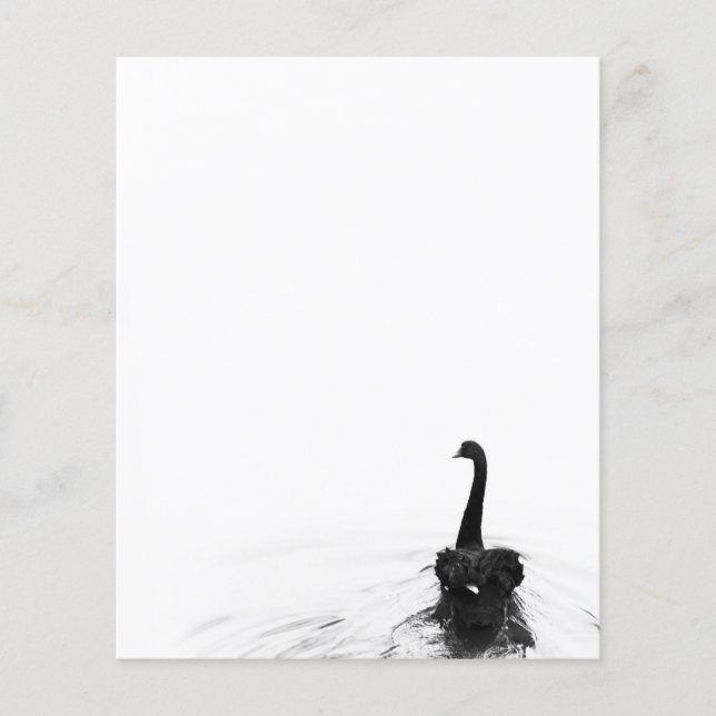Lámina Cisne negro elegante blanco y negro (Anverso)