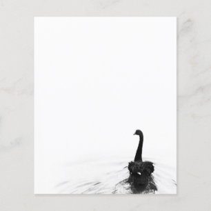 Lámina Cisne negro elegante blanco y negro