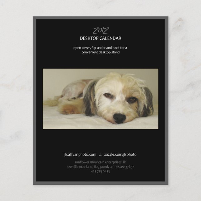 Lámina Cobertura retrospectiva del calendario 2012 (Anverso)