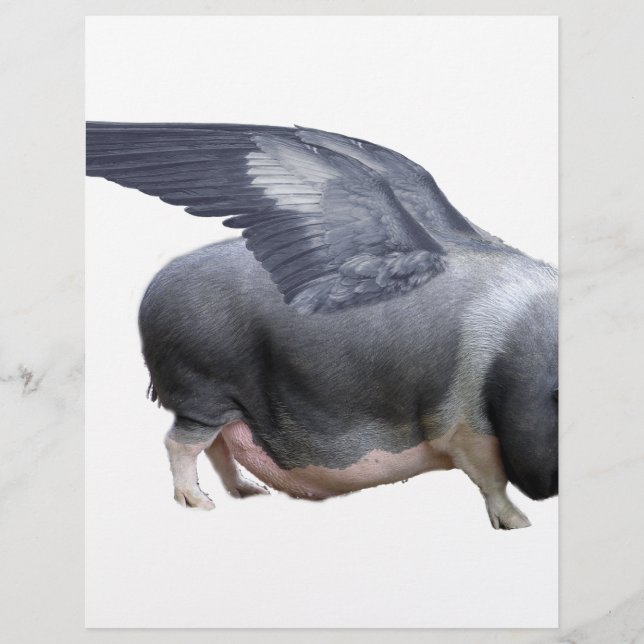 Lámina cochecito (Anverso)