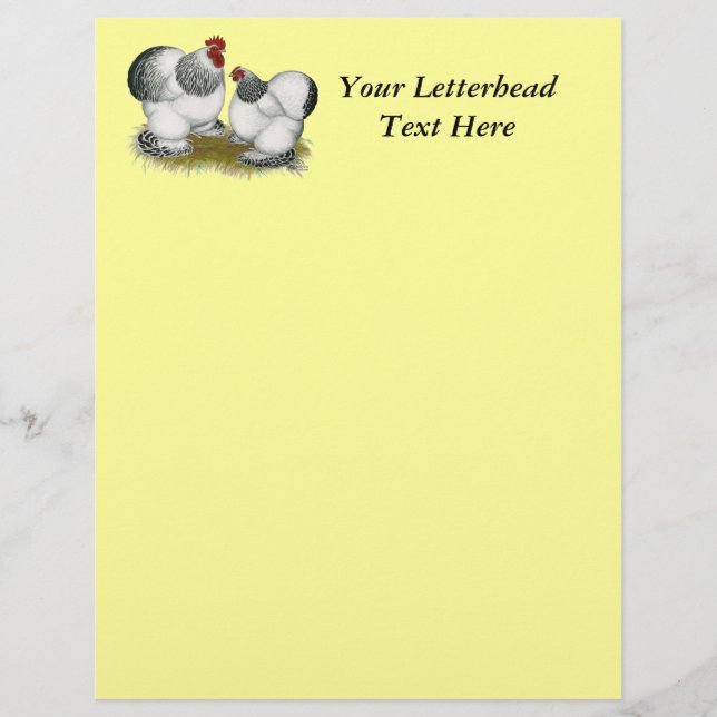 Lámina Cochins:  Bantams Columbianas (Anverso)