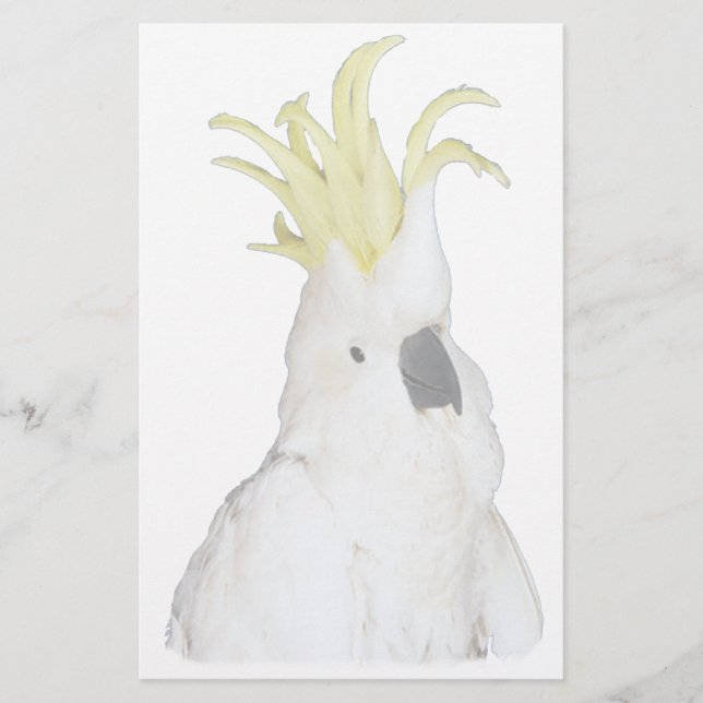 Lámina Cockatoo (Anverso)