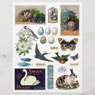 Lámina Colección de la efemera vintage: Aves y un conejo