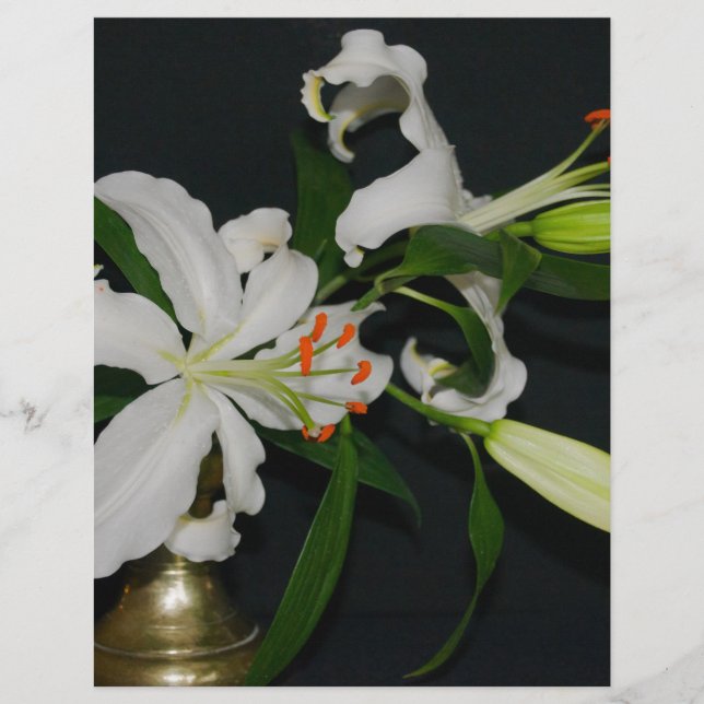 Lámina Colección irlandesa de Brass y Flores (Anverso)