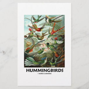 Lámina Colibríes