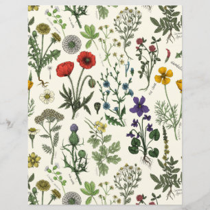 Lámina Collage de flores silvestres