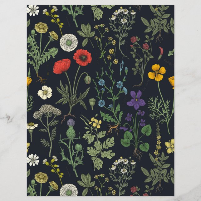 Lámina Collage de flores silvestres (Anverso)