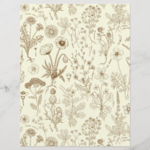 Lámina Collage de flores silvestres/ beige y sepia