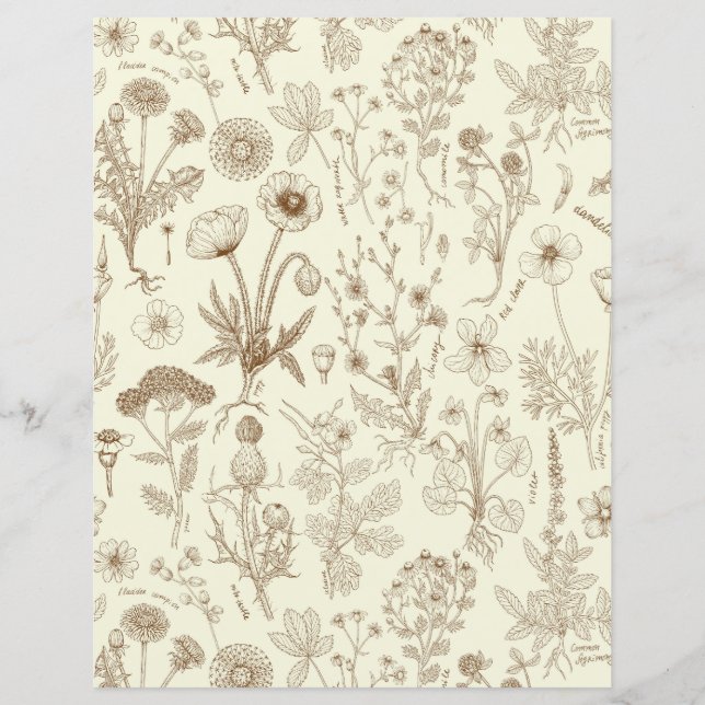 Lámina Collage de flores silvestres/ beige y sepia (Anverso)