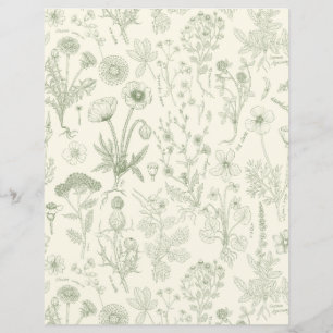 Lámina Collage de flores silvestres/ blanco apagado y sal
