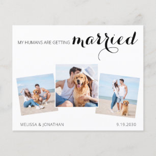 Lámina Collage de fotos Boda de presupuesto Guardar el có