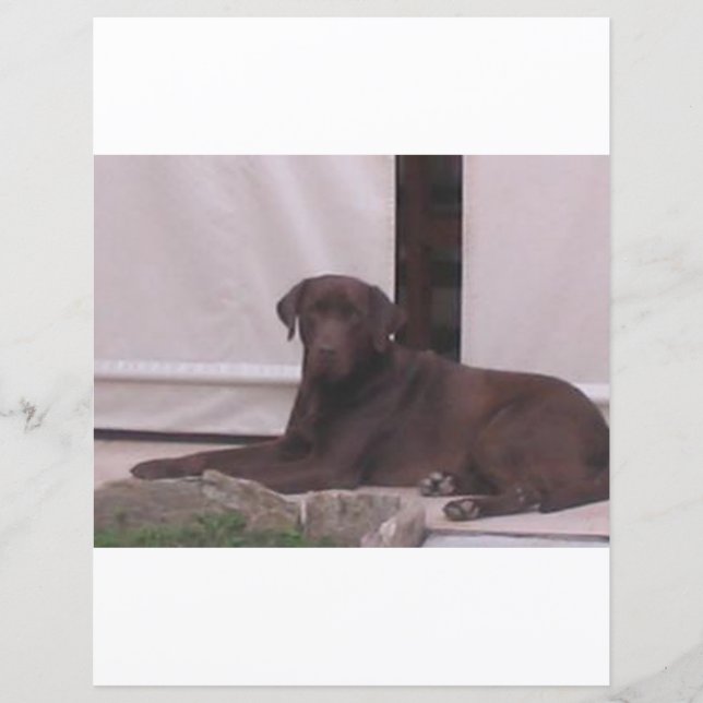 Lámina Colocación de laboratorio de chocolate (Anverso)