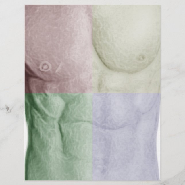 Lámina Colorful Abs (Anverso)