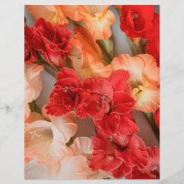 Lámina Colorful Gladiolus Flowers Scrapbook Paper