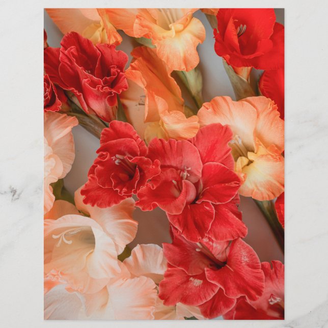 Lámina Colorful Gladiolus Flowers Scrapbook Paper (Anverso)
