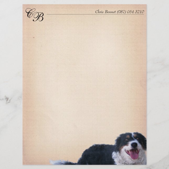 Lámina Combinación de colores de borde (Anverso)