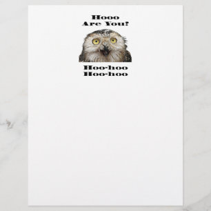 Lámina ¿Cómo Estás? Owl ¿Quién Eres?