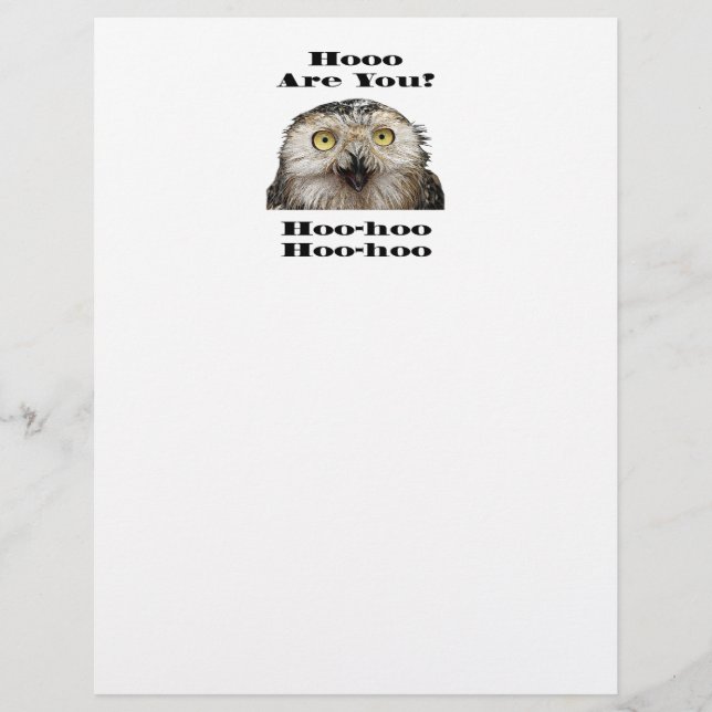 Lámina ¿Cómo Estás? Owl ¿Quién Eres? (Anverso)