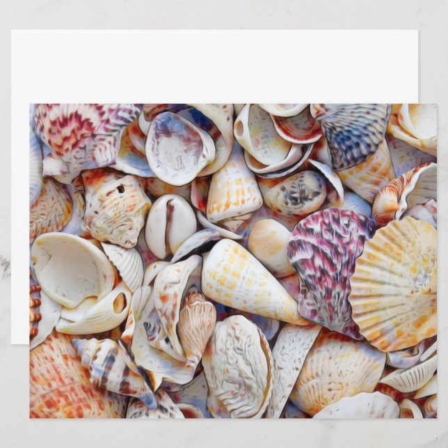 Lámina conchas marinas Decoración de las acuarelas de Oce (Anverso / Reverso)