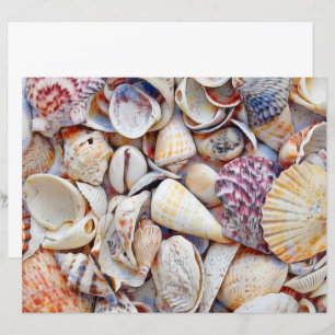 Lámina conchas marinas Decoración de las acuarelas de Oce