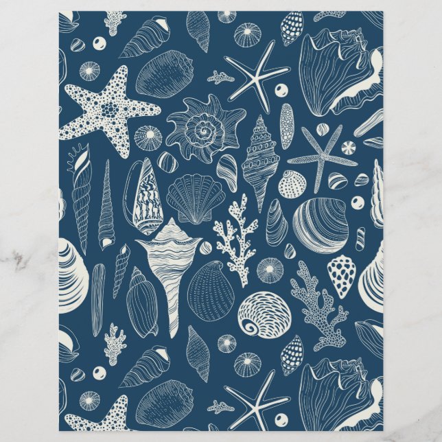 Lámina Conchas marinas sobre azul oscuro (Anverso)