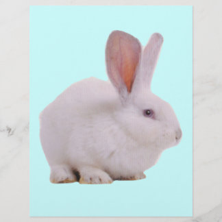 Lámina Conejo Kawaii Lindo