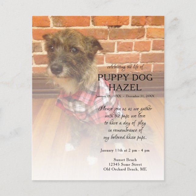 Lámina conmemoración de la foto del lado izquierdo (Anverso)