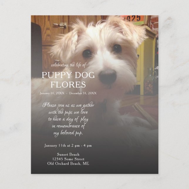 Lámina conmemoración de la foto en el lado derecho (Anverso)